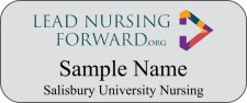 (image for) Salisbury University School of Nursing Grant Standard Silver badge