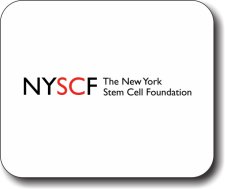 (image for) New York Stem Cell Found., The Mousepad