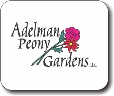 (image for) Adelman Peony Gardens, LLC Mousepad