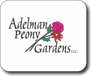 (image for) Adelman Peony Gardens, LLC Mousepad