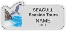 (image for) SEAGULL Seaside Tours Shaped Silver badge