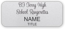(image for) BF Terry High School Rangerettes Standard Silver badge
