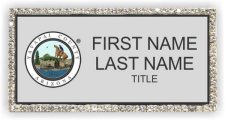 (image for) Yavapai County Assessor's Office Bling Silver badge