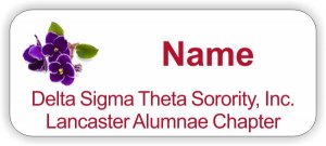 (image for) Delta Sigma Theta Sorority - Lancaster Standard White badge