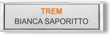 (image for) TREM Small Executive Silver badge