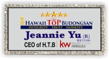 (image for) Hawaii Top Budongsan Bling Silver badge