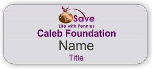 (image for) Caleb Foundation Standard Silver badge