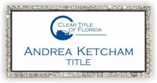 (image for) Clear Title of Florida Bling Silver Other badge