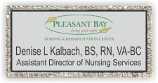 (image for) pleasant bay nursing and rehab Bling Silver badge