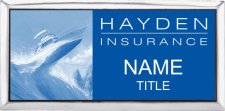 (image for) Hayden Insurance Executive Silver badge