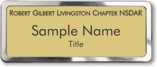 (image for) Robert Gilbert Livingston Chapter NSDAR Prestige Polished badge