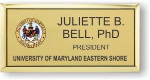 (image for) University of Maryland Eastern Shore Executive Gold badge