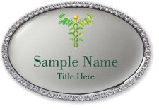 (image for) Dr. Nature Oval Bling Silver badge