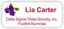(image for) Delta Sigma Theta Foothill Badge