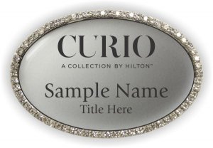 (image for) Curio Oval Bling Silver badge