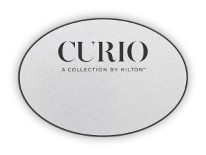 (image for) Curio Logo Only Oval Silver badge