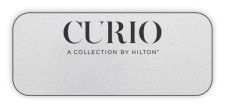 (image for) Curio Logo Only Standard Silver badge