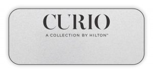 (image for) Curio Logo Only Standard Silver badge