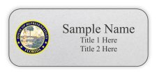 (image for) Florida House of Representatives Standard Silver badge
