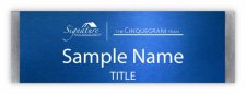 (image for) Signature Real Estate Group - The Cinquegrani Team Small Meridian Silver badge