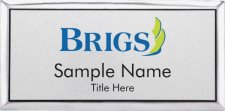 (image for) Brigs, LLC Executive Silver badge