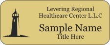 (image for) Levering Regional Healthcare Center L.L.C Standard Gold badge