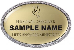 (image for) Life\'s Answers Ministry Oval Bling Silver Other badge