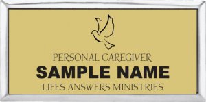 (image for) Life\'s Answers Ministry Executive Silver Other badge