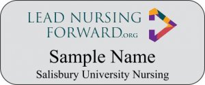 (image for) Salisbury University School of Nursing Grant Standard Silver badge