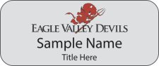(image for) Eagle Valley Devils Standard Silver badge