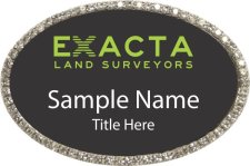 (image for) Exacta Land Surveyors Oval Bling Silver Other badge