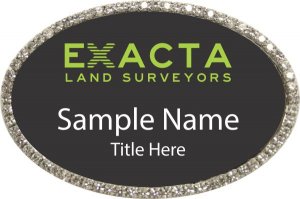 (image for) Exacta Land Surveyors Oval Bling Silver Other badge