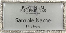 (image for) Platinum Properties of Floride, LLC Bling Silver badge