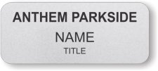 (image for) Anthem Parkside Standard Silver badge