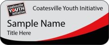 (image for) Coatesville Youth Initiative Standard Silver badge