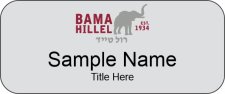 (image for) Hillel Standard Silver Badge