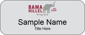 (image for) Hillel Standard Silver Badge