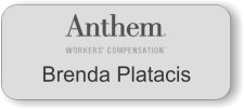 (image for) Anthem Silver Badge