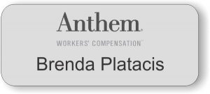 (image for) Anthem Silver Badge