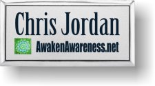 (image for) Awaken Awareness Silver Executive Badge