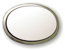 (image for) Belleville Chiropractic Execuitive Oval Silver Badge BLANK