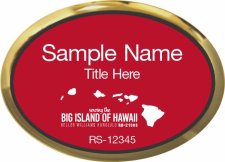 (image for) Keller Williams Big Island of Hawaii Oval Executive Gold Badge with Red Insert