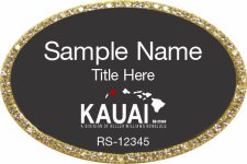 (image for) Keller Williams Kauai Oval Bling Gold Badge with Black Insert