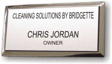 (image for) Cleaning Solutions By Bridgette Executive Silver Badge