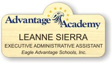 (image for) Eagle Advantage Schools, Inc. Shaped Badge