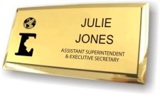 (image for) Illinois District Council Gold Executive Badge
