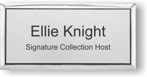 (image for) Signature Travel Network Executive Silver Badge