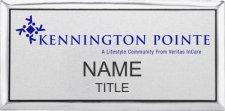 (image for) Veritas InCare Kennington Pointe Executive Silver badge