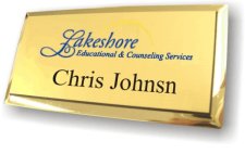 (image for) Lakeshore Educational & Counseling Services Executive Gold Badge