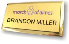 (image for) March of Dimes Executive Gold Badge